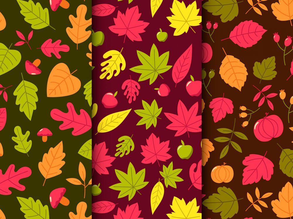 Autumn Pattern Collection