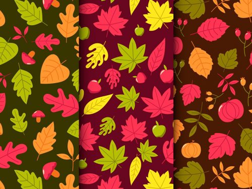 Autumn Pattern Collection