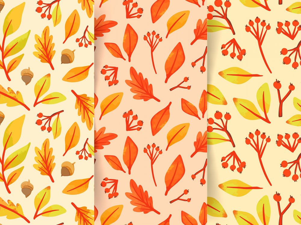 Autumn Pattern Collection