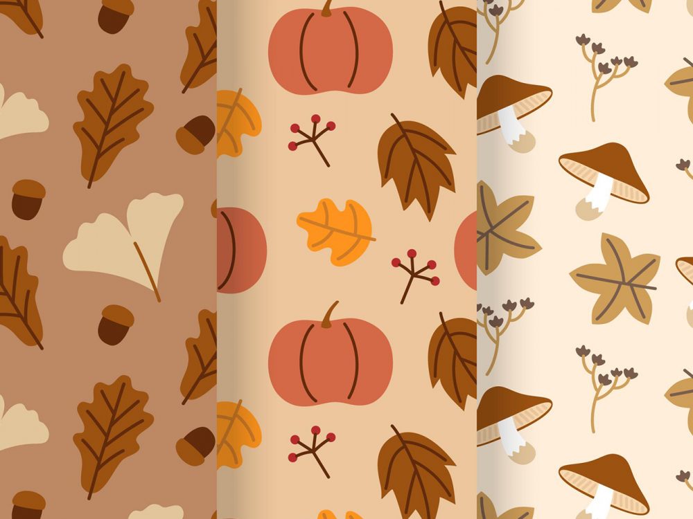 Autumn Pattern Collection