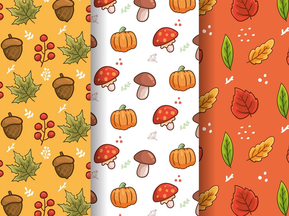Autumn Pattern Collection
