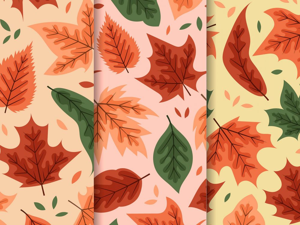 Autumn Pattern Collection