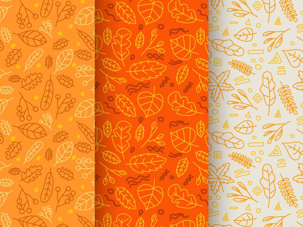 Autumn Pattern Collection