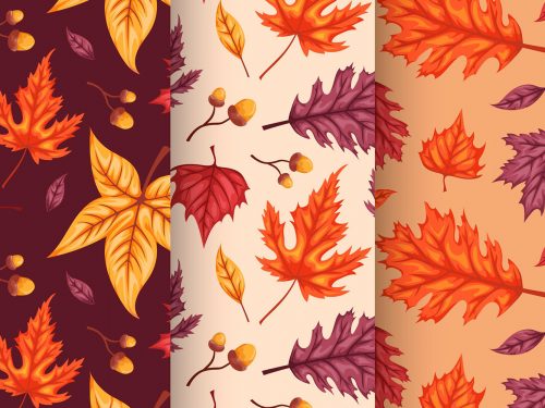 Autumn Pattern Collection