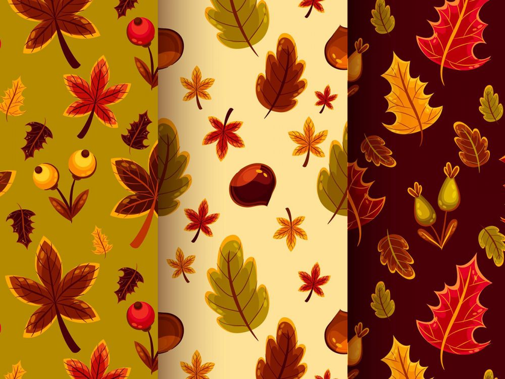 Autumn Pattern Collection