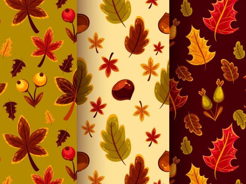 Autumn Pattern Collection