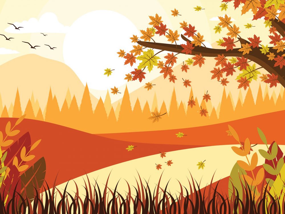 Autumn Scenery Vector Illustration