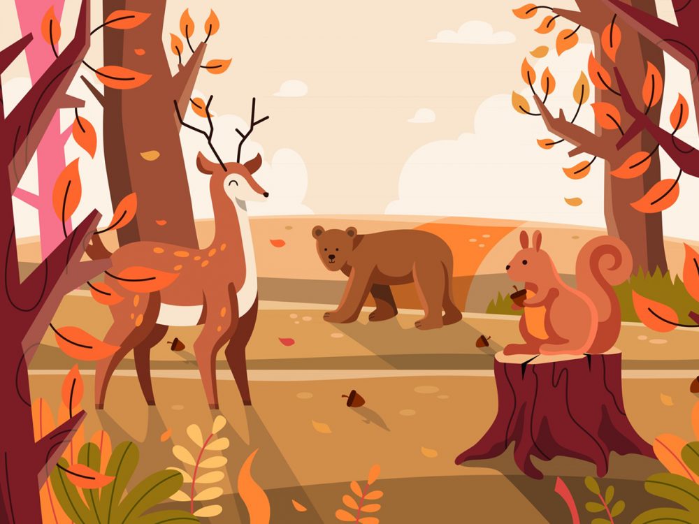 Flora and Fauna Landscape in Autumn Illustration