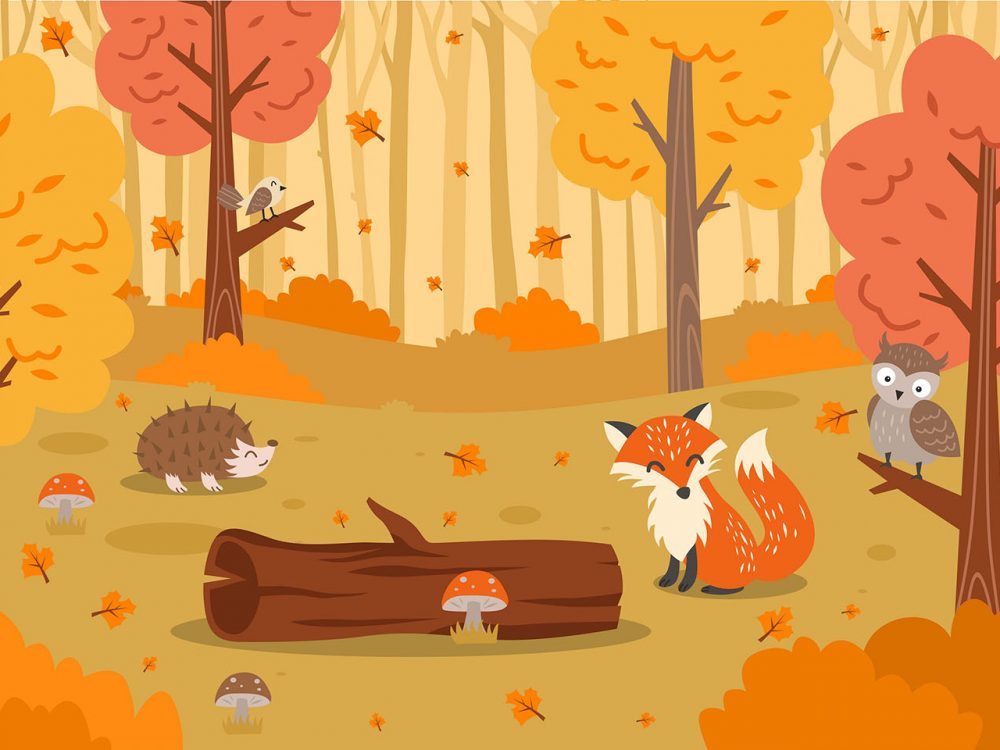 Flora and Fauna Landscape in Autumn Illustration