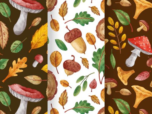 Hand Drawn Autumn Pattern Collection