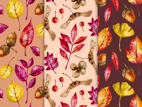 Hand Drawn Autumn Pattern Collection