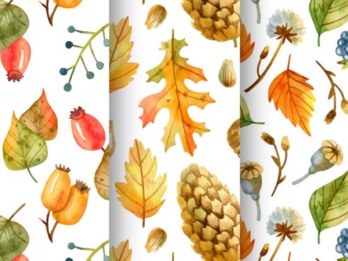 Hand Drawn Autumn Pattern Collection