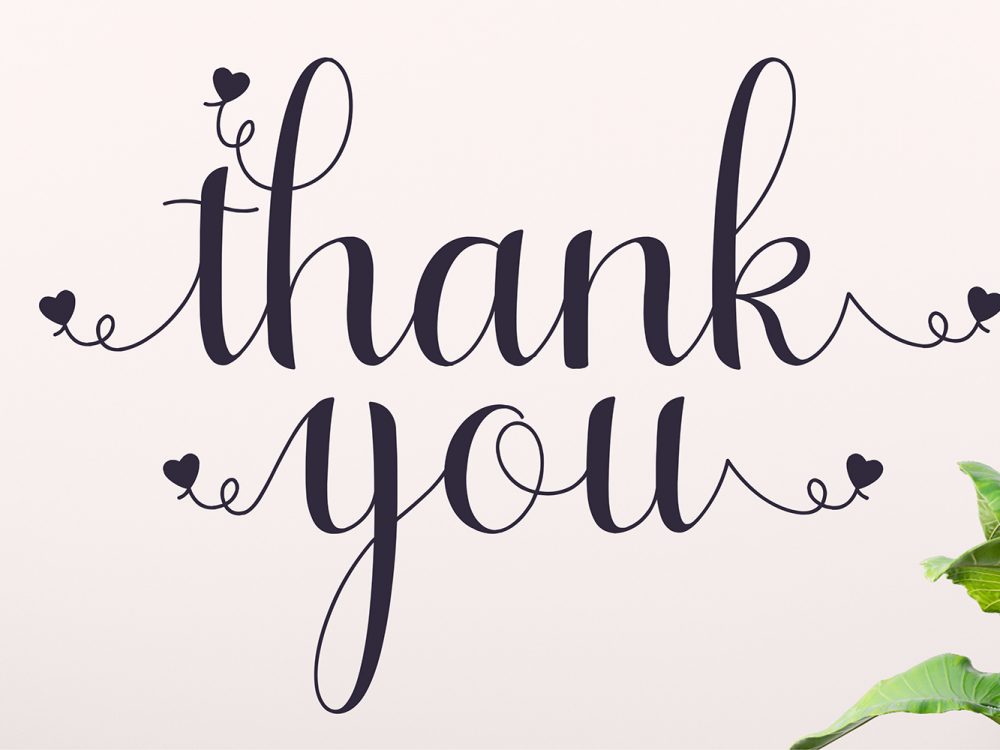 Lesley Lovely Free Font