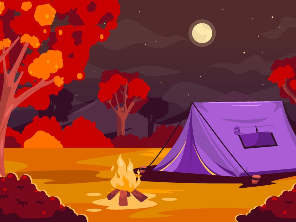 Night Autumn Camping Illustration