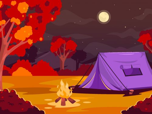 Night Autumn Camping Illustration