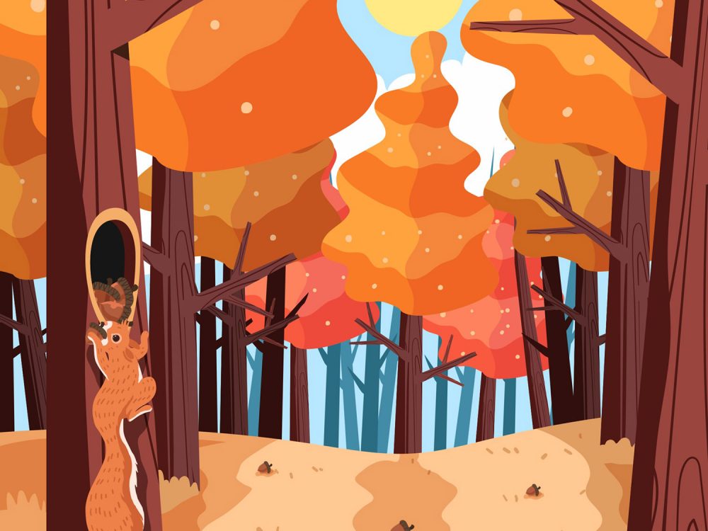Sunny Light Autumn Season Forest with a Squirel Illustration
