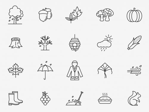 Vector Autumn Icons