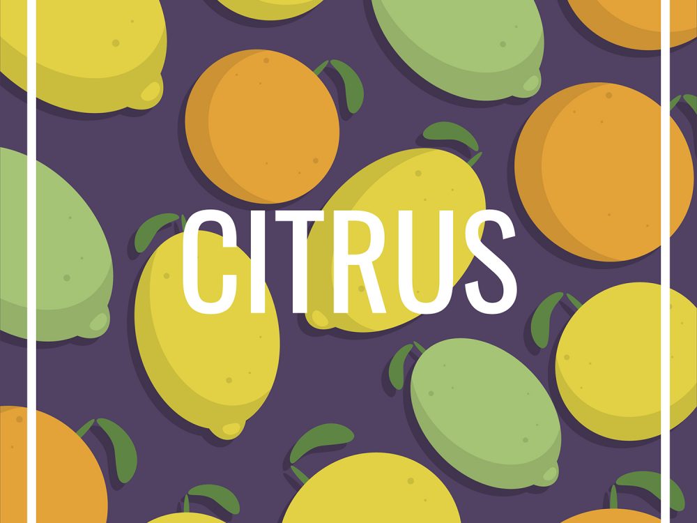 Free Fruit Vector Pattern