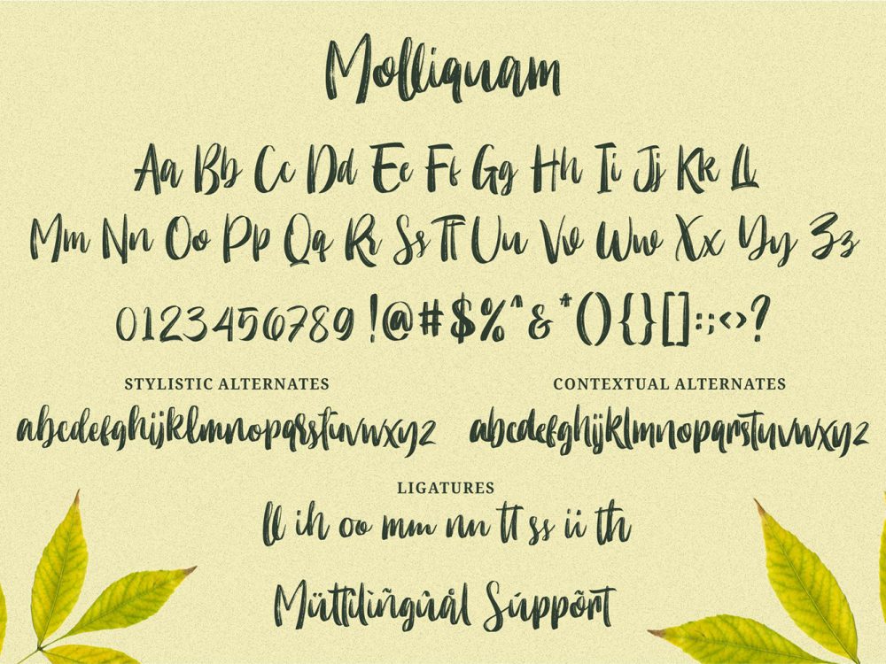 Molliquam Free Font