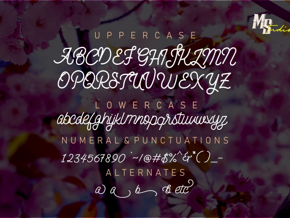 The Breachery Free Font
