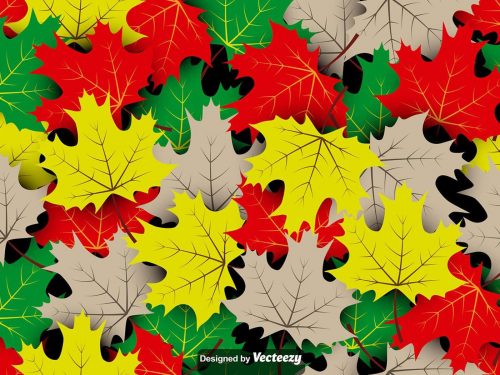 Autumn Pattern Collection