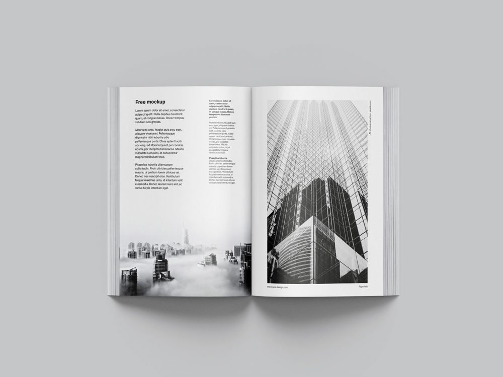 Free Octavo Book Mockup