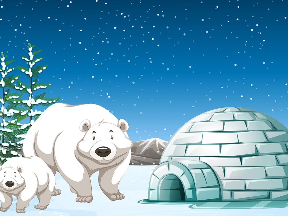 Polar Bears Standing Near Igloo Iluustration