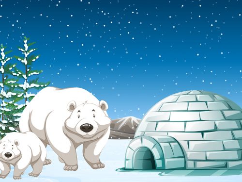 Polar Bears Standing Near Igloo Iluustration
