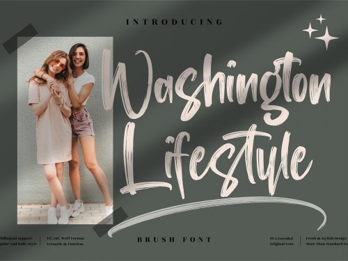 Washington Lifestyle Free Font