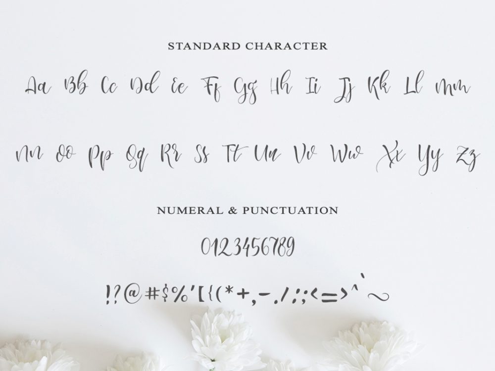 Lesley Script Free Font