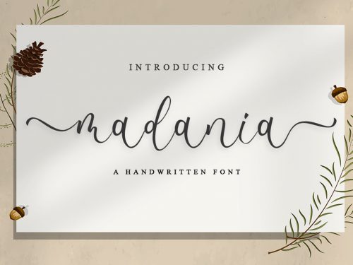 Madania Script Free Font