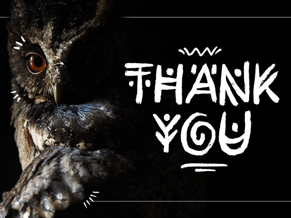 Rimba Andalas Free Font