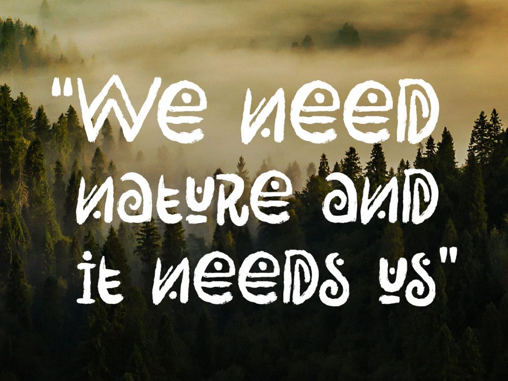 Rimba Andalas Free Font