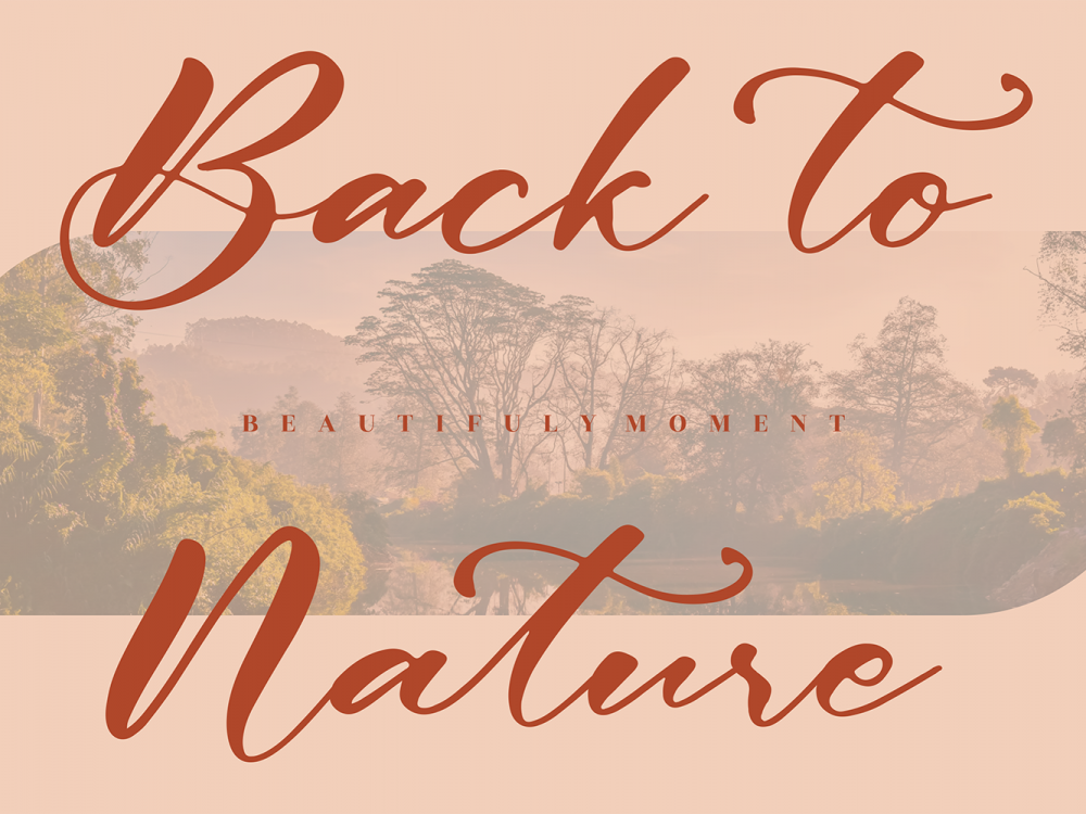 Betta Peach Free Font