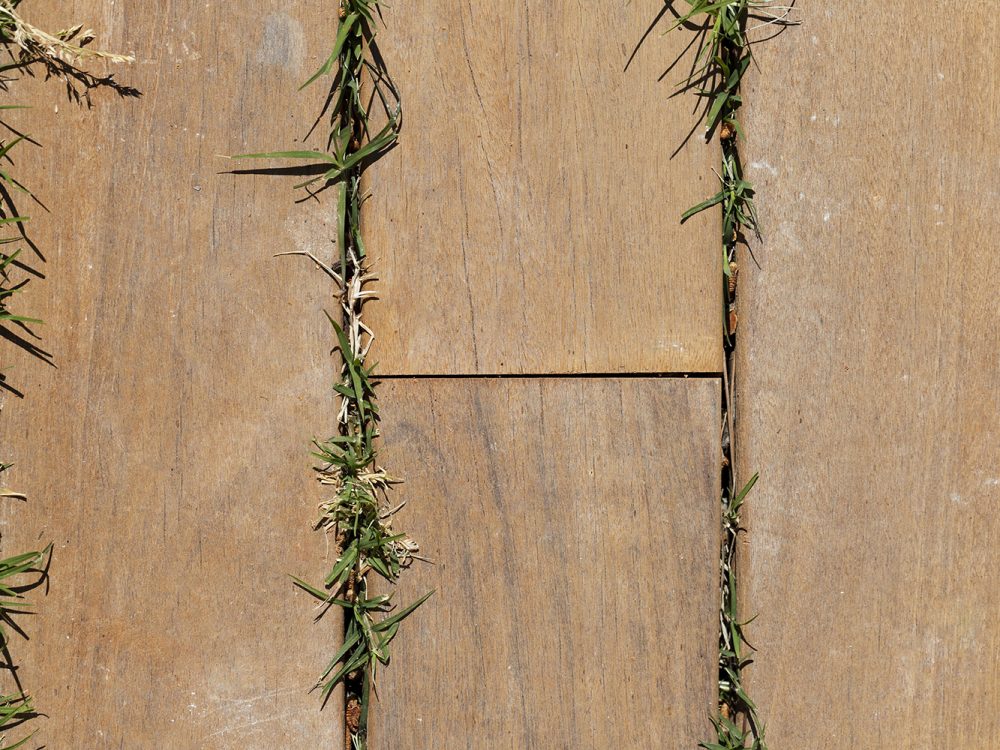 Brown Wood Planks Texture