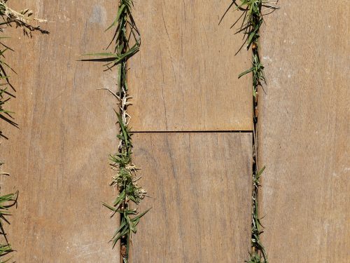 Brown Wood Planks Texture