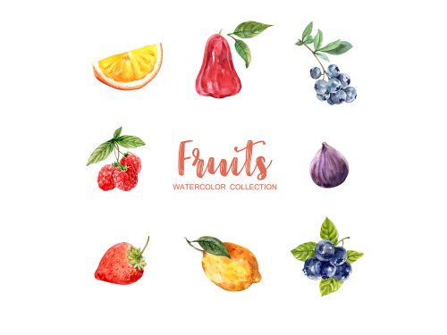 Fruit Free Vector Icons