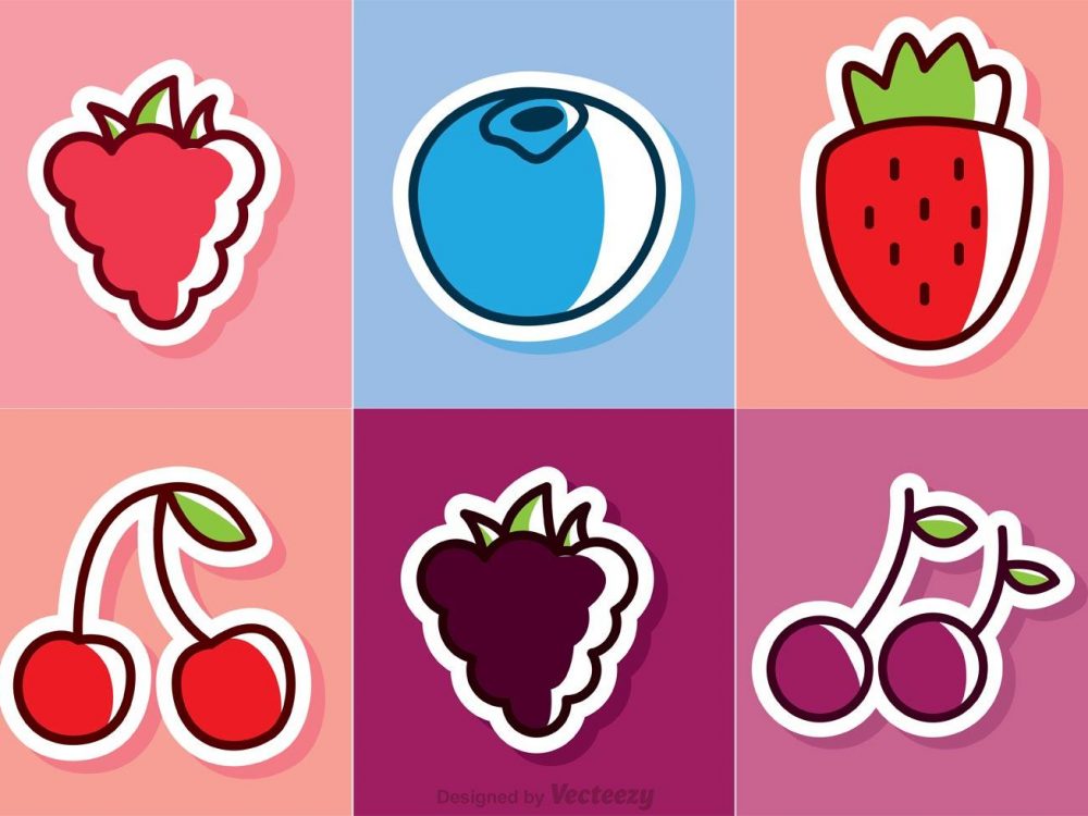 Fruit Vector Icons