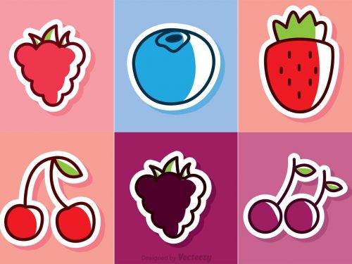 Fruit Vector Icons