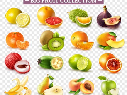 Fruit Vector Icons