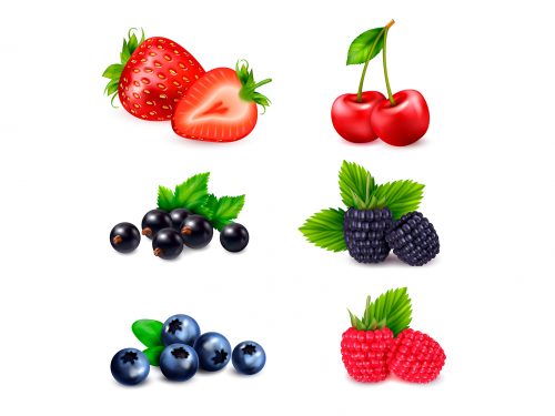 Fruit Vector Icons