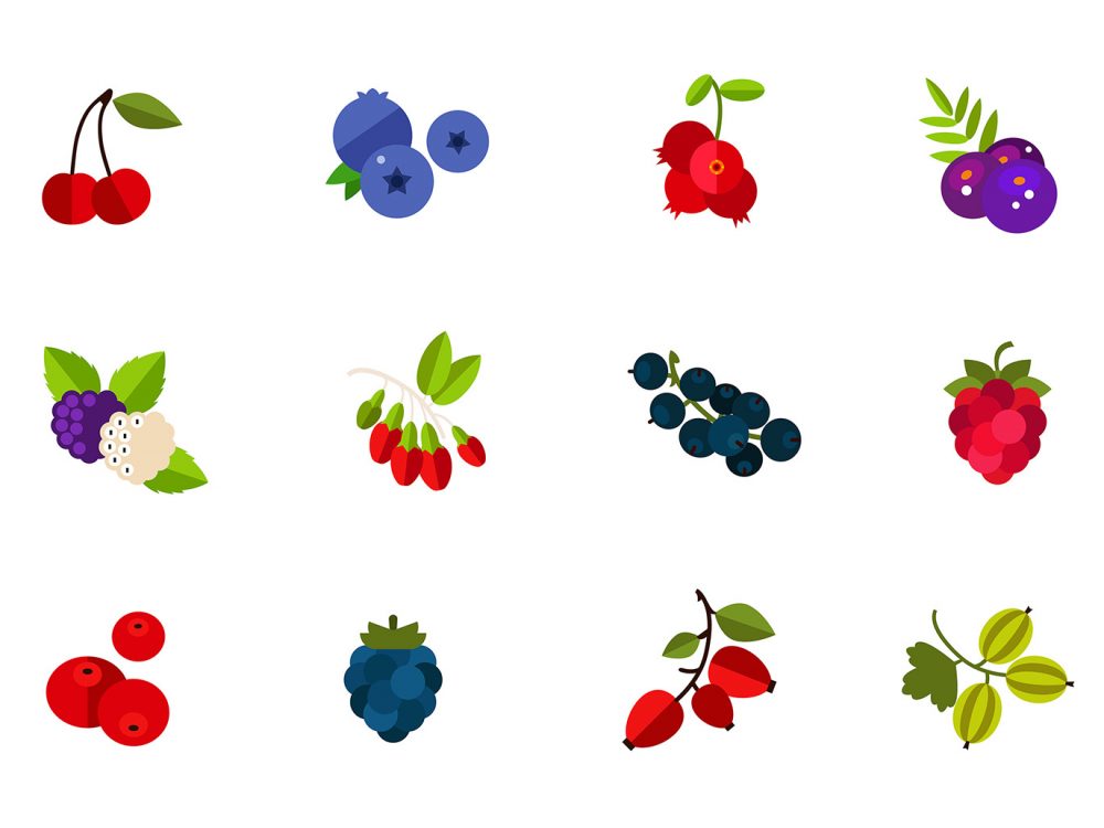 Fruit Vector Icons