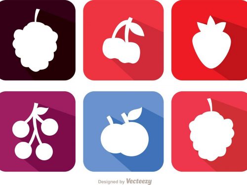 Fruit Vector Icons