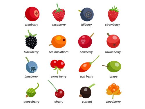 Fruit Vector Icons
