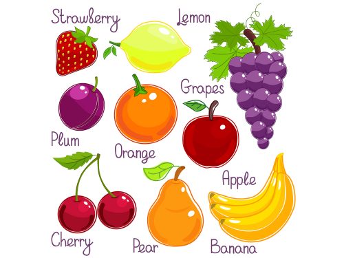 Fruit Vector Icons