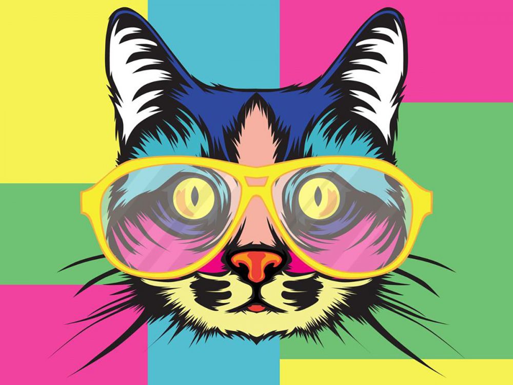 Colorful Cat Illustration