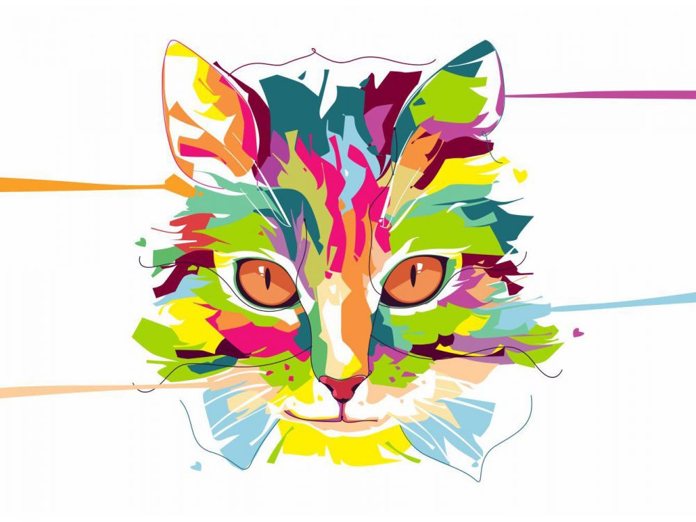 Colorful Cat Illustration