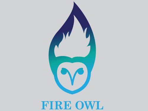Fire Owl Logo Design