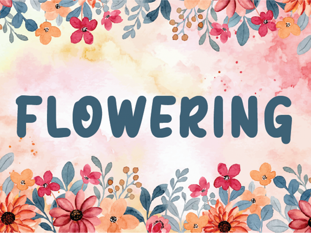 Flowering Free Font