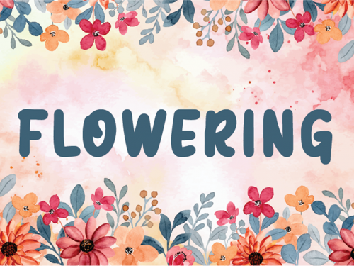 Flowering Free Font